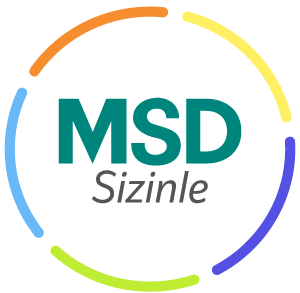 msdsizinle